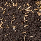 Turfworld_Grass-Seed_Top-Soil.webp