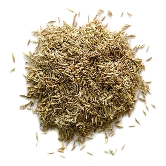 grass-seed-1-web.webp