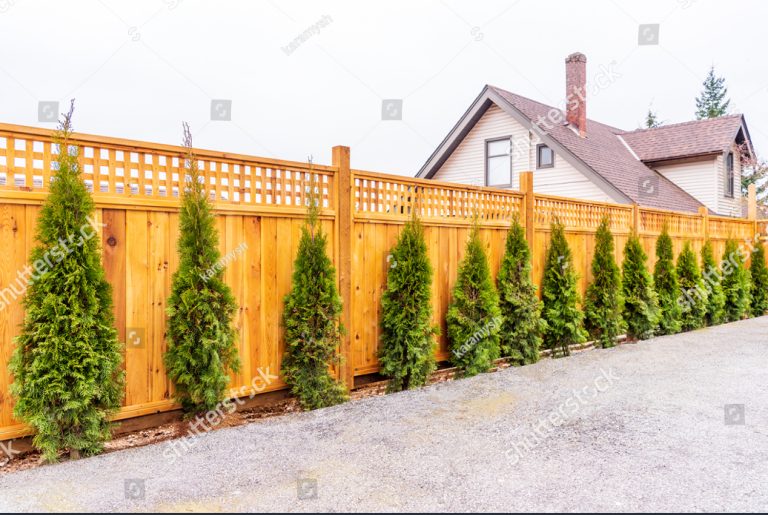 New Website Launches with Exciting Partnership with TurfWorld