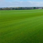 turf-turfworld-turf-roll-buy-turf-field