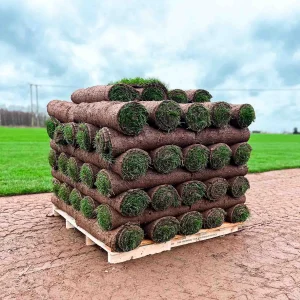 turf-turfworld-turf-roll-buy-turf-field-pallet-of-turf