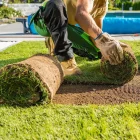 turf-turfworld-turf-roll-buy-turf-laying-turf
