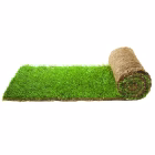 turf-turfworld-turf-roll-buy-turf1